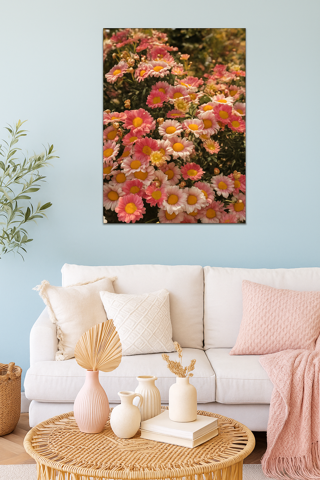 Bellis perennis