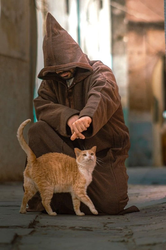 Scène de Rue - Connexion Pastorale | Maroccinoo
