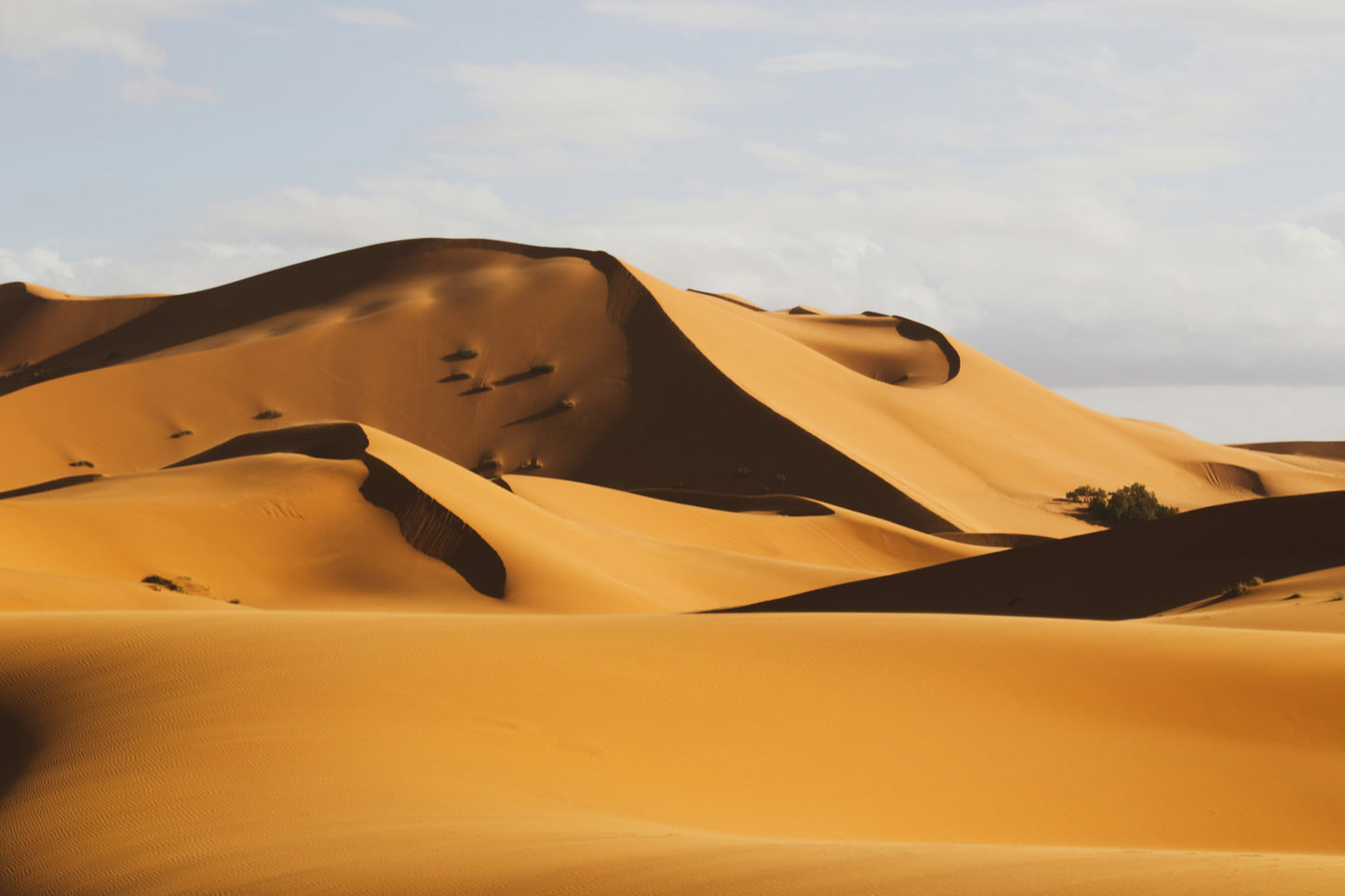 Vue du Sahara ou du désert