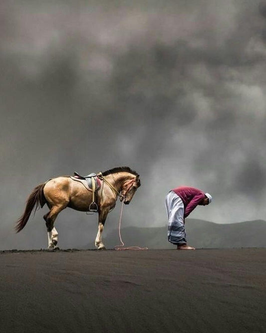 Photographie Équitation Spirituelle - Douceur Saharienne | Maroccinoo